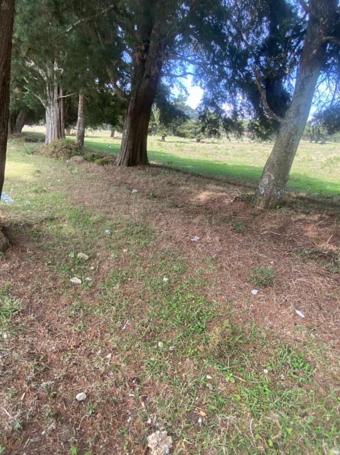 venta de terreno en carretera a el salvador - foto 4