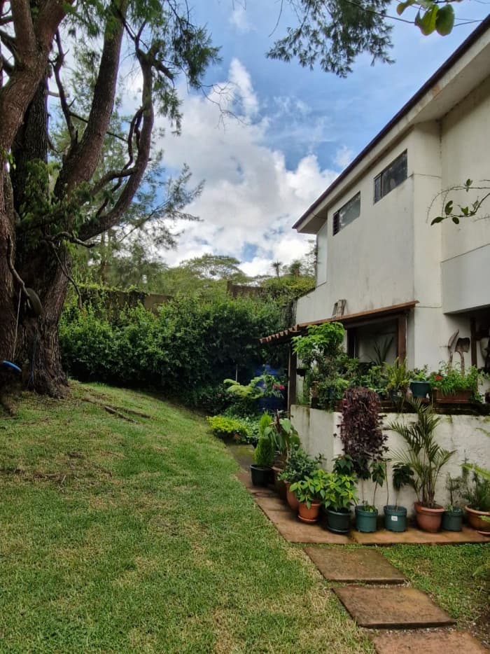 Venta o Renta de Casa - foto 4