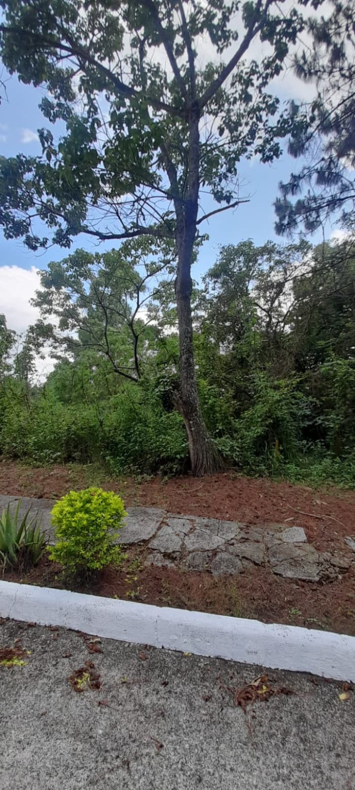 Terreno en Venta en Alta Vista Country Club - foto 4