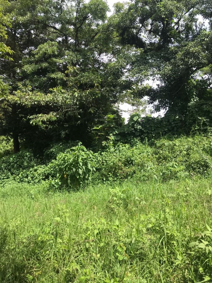 Terreno en Venta en Carretera a Santa Elena Barillas - foto 2