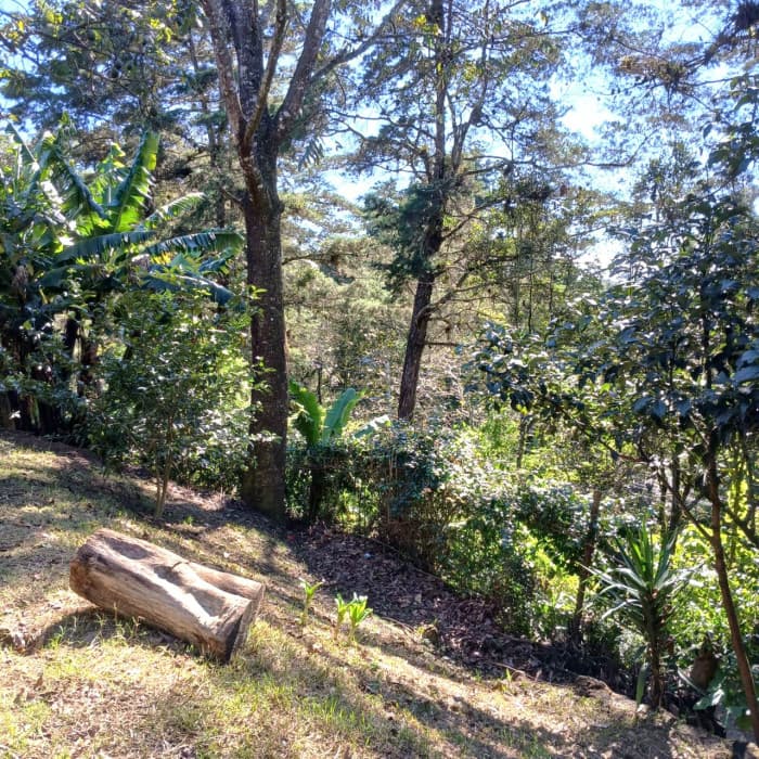 VENTA DE TERRENO EN LO DE DIEGUEZ - foto 2