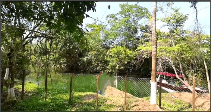 TERRENO EN VENTA EN RIO DULCE - foto 3
