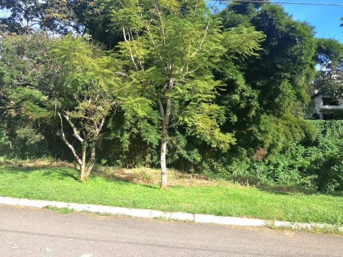 Terreno Residencia en Venta en La Montaña, Zona 16 - foto 2