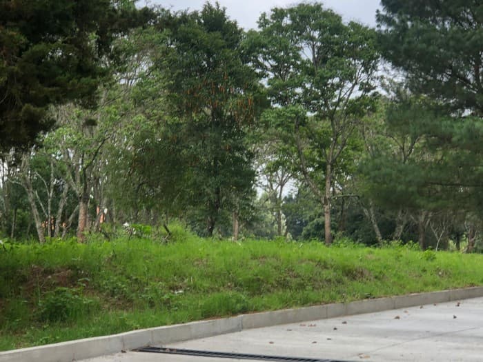 Terrenos en venta en Casa y Campo km 23.5 CES - foto 3