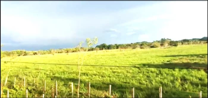 TERRENO EN VENTA EN PETEN  - foto 4