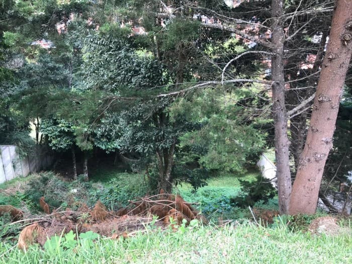 Terreno en Venta Bosques de las Luces - foto 4
