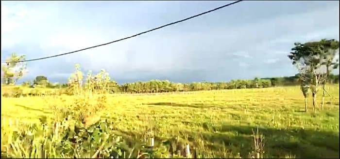 TERRENO EN VENTA EN PETEN  - foto 2