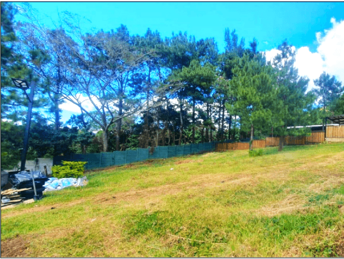 Terreno en Venta en Barberena  - foto 2