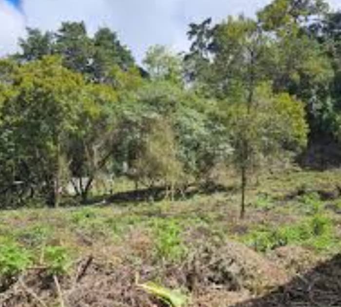 Terreno en Venta en Santa Catarina Pinula - CAES  - foto 2