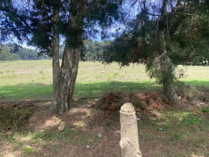venta de terreno en carretera a el salvador - foto 3