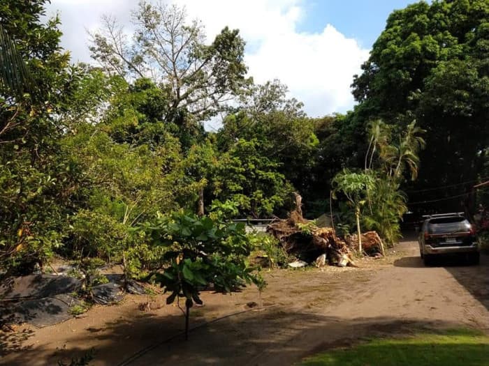 Terreno en Venta en Km 76.5 Antigua Carretera al Puerto - foto 4