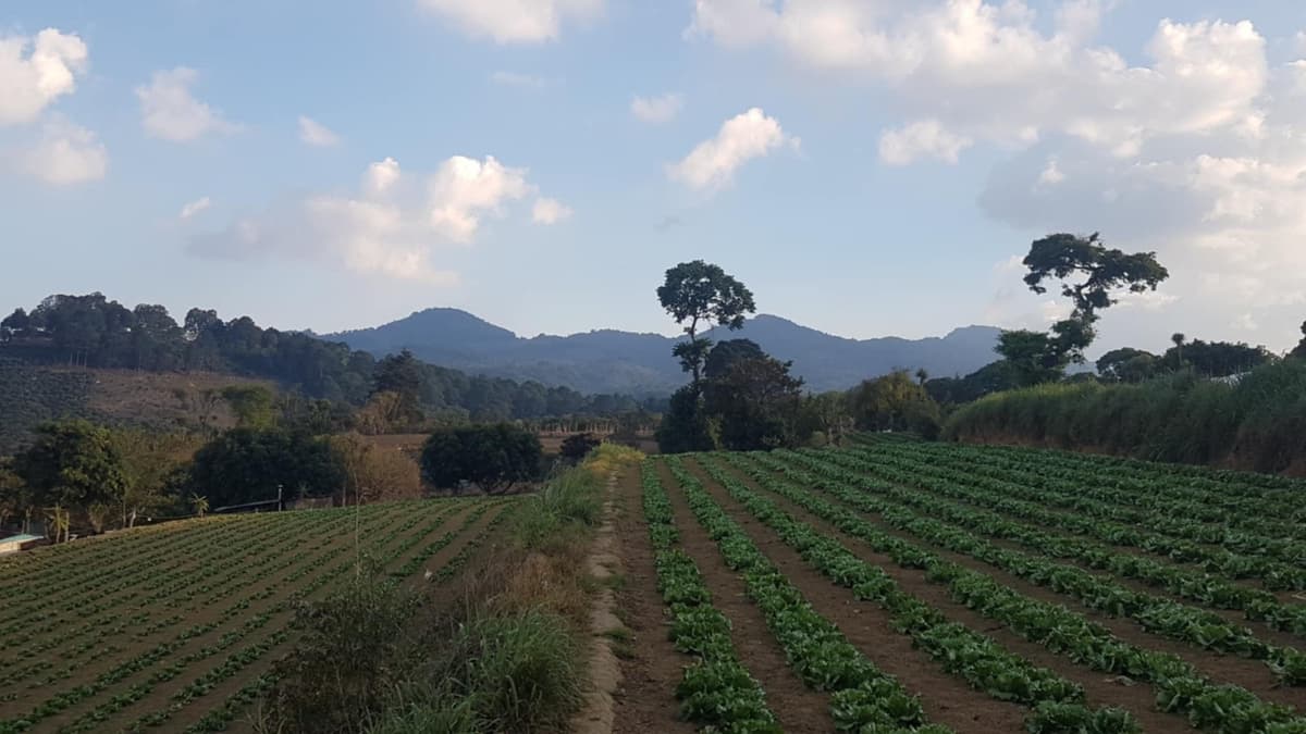 Venta de Terreno Rustico en Sacatepéquez - foto 3