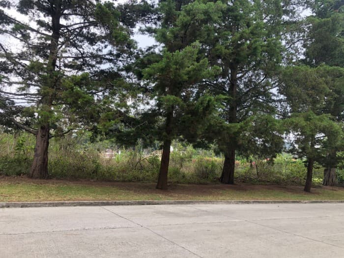 Terrenos en venta en Casa y Campo km 23.5 CES - foto 4