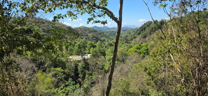 HACIENDA EN VENTA - FINCA EL MAGUEY - foto 2