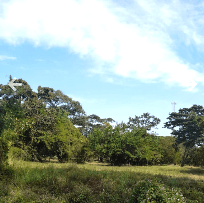 TERRENO EN VENTA EN MASAGUA ESCUINTLA - foto 4
