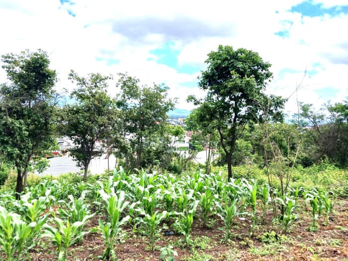 Terreno en Venta cerca de Calzada La Paz, en Zona 17 - foto 3