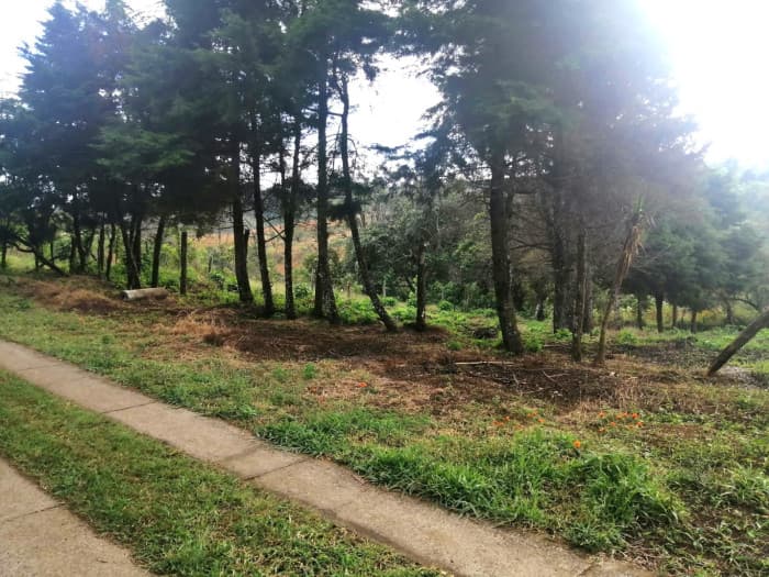 TERRENO RESIDENCIAL EN VENTA EN VILLA CANALES - foto 2