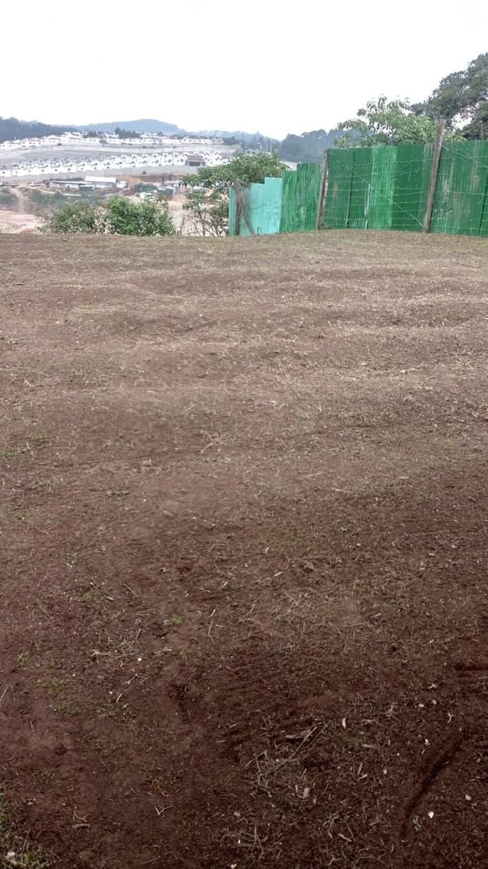 TERRENO EN VENTA EN LO DE DIEGUEZ - FINCA EL MAGUEY - foto 4