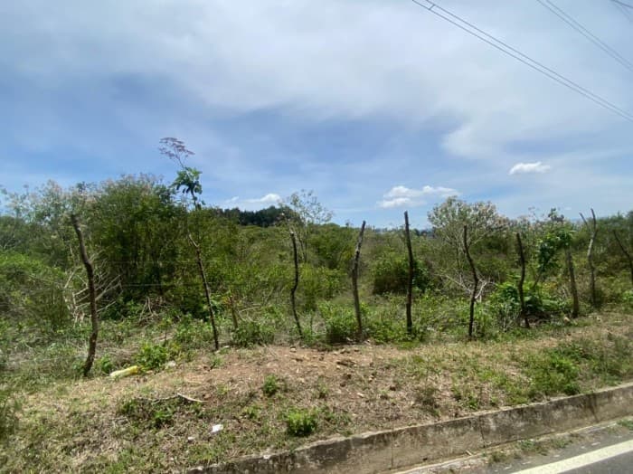 Finca en el km21 carretera a Fraijanes - foto 4