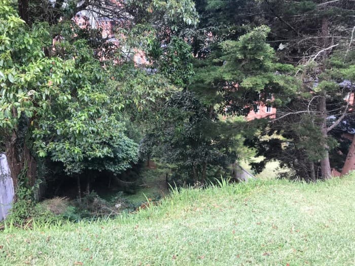 Terreno en Venta Bosques de las Luces - foto 3