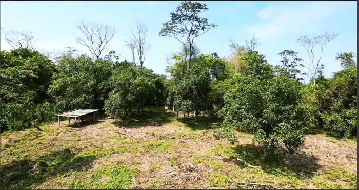 TERRENO EN VENTA EN RIO DULCE - foto 4