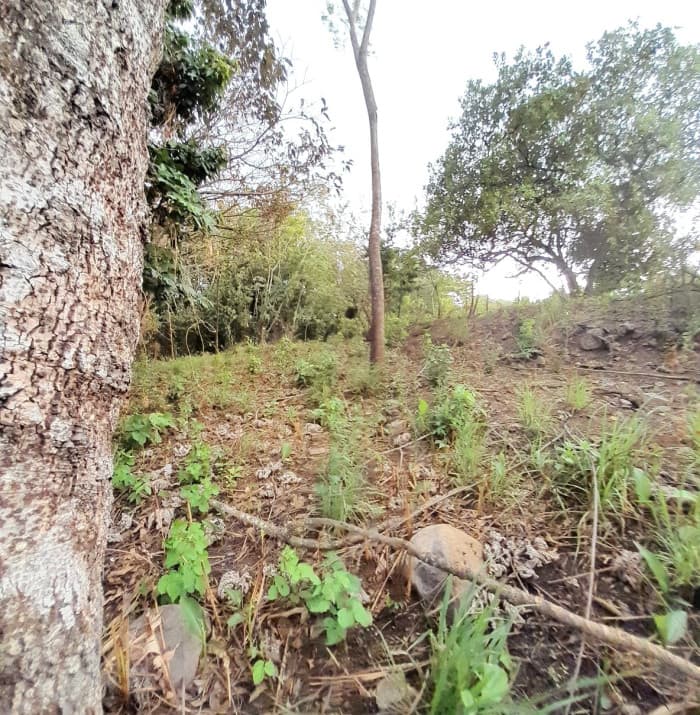Terreno en Venta en Quintas Vallarta Escuintla - foto 3