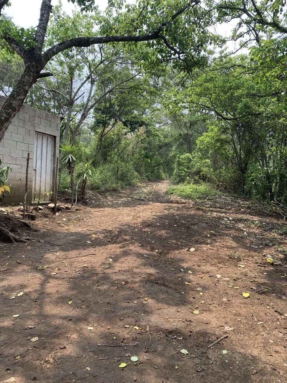 Terreno en Renta carretera a Santa Elena Barillas - foto 2