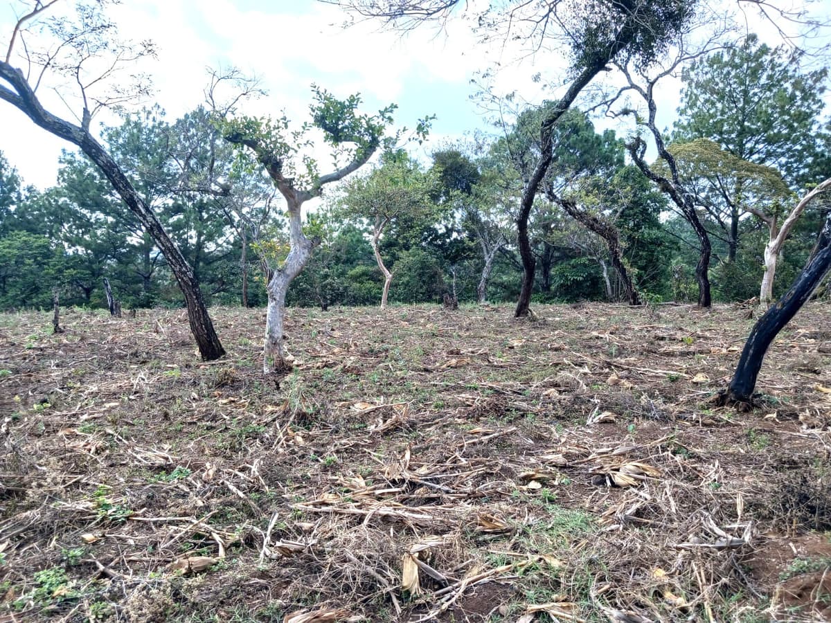 TERRENO EN VENTA EN FRAIJANES - foto 4