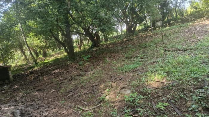 VENTA DE TERRENO EN KM 73, CARRETERA A TAXISCO - foto 3