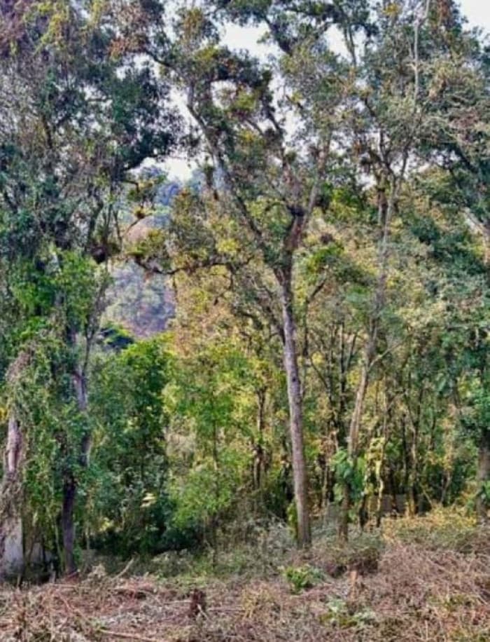 Terreno en Venta en Santa Catarina Pinula - CAES - foto 3