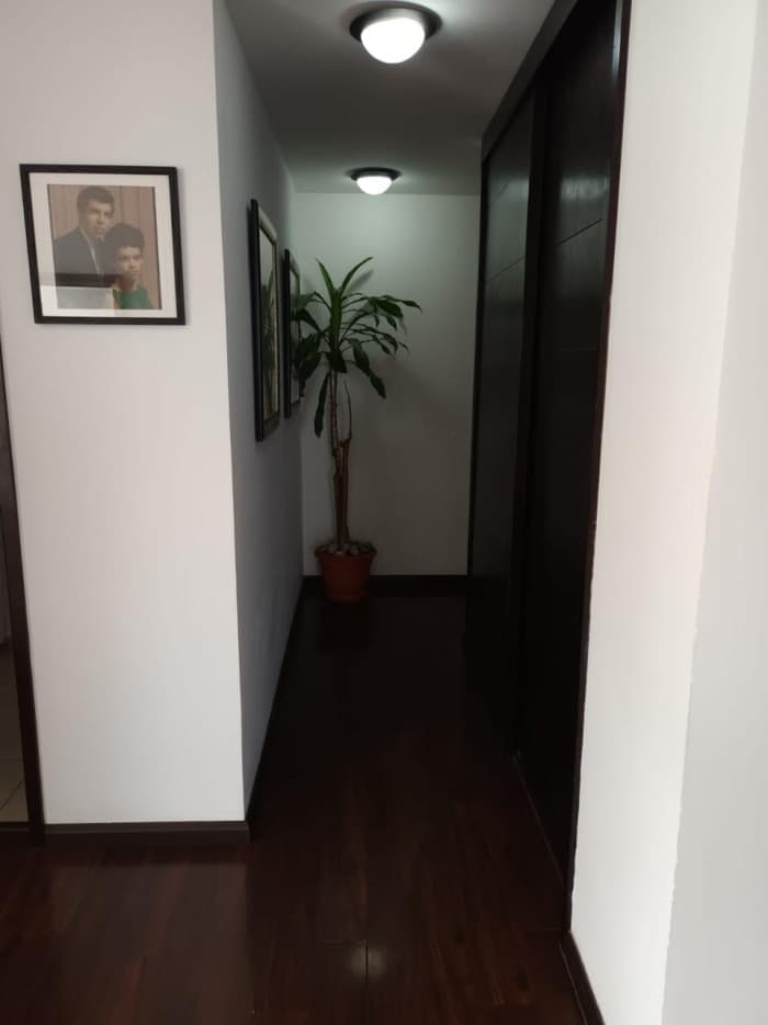 Apartamento en Venta  en Edificio Caledonia Z 16.  - foto 3