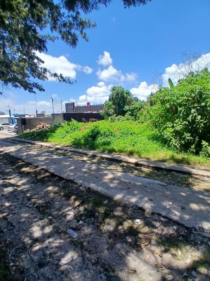 TERRENO EN ALQUILER EN CAES KM 19.5 - foto 3