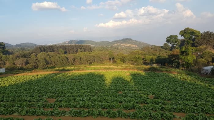 Venta de Terreno Rustico en Sacatepéquez - foto 2
