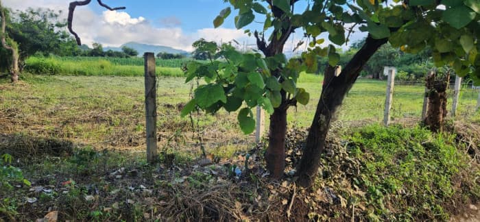 Terreno en Renta Camino a Jutiapa - foto 4