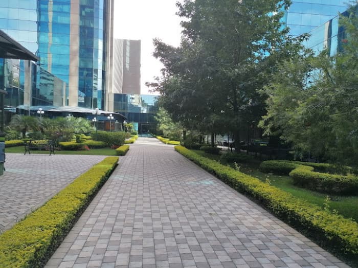 Oficinas en renta EUROPLAZA  Zona 14  - foto 2