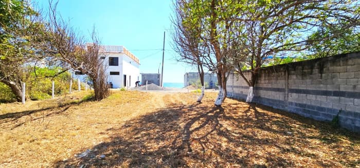 TERRENO EN VENTA EN IZTAPA  A 20 METROS DEL MAR - foto 4