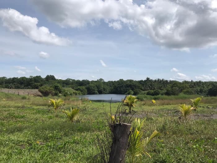 Venta de Terreno en Escuintla - foto 3