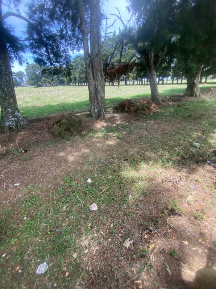 venta de terreno en carretera a el salvador - foto 2