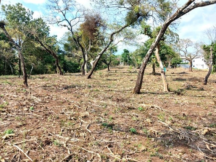 TERRENO EN VENTA EN FRAIJANES - foto 2