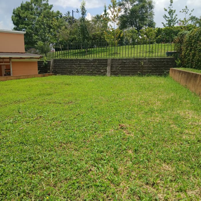 TERRENO EN VENTA EN SAN MARTIN DE ALLENDE - CES - foto 4