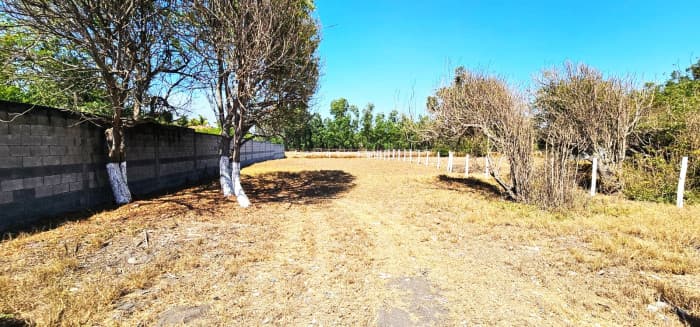 TERRENO EN VENTA EN IZTAPA  A 20 METROS DEL MAR - foto 3