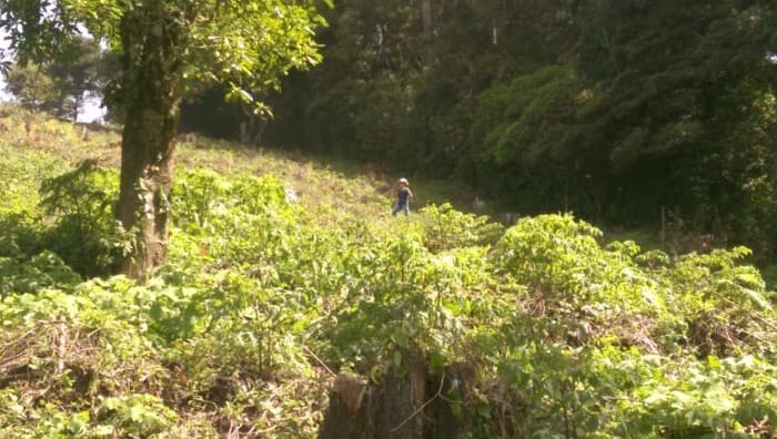 Terreno en Venta La  Ciénega Grande, San Jose Pinula - foto 3