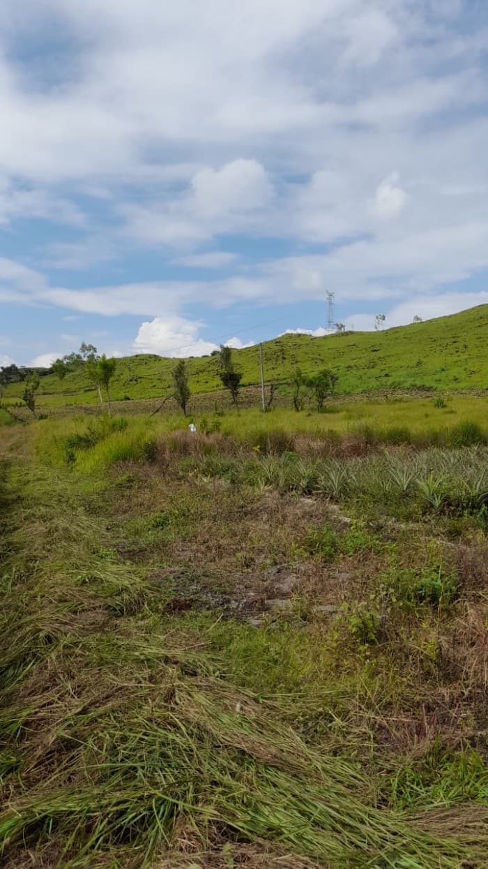 Vendo Terreno en Autopista a El Salvador - foto 2
