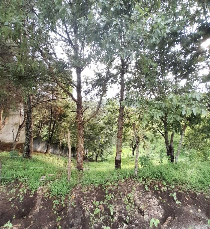Lote en venta, Sausalito Fraijanes Km. 19.8  - foto 4