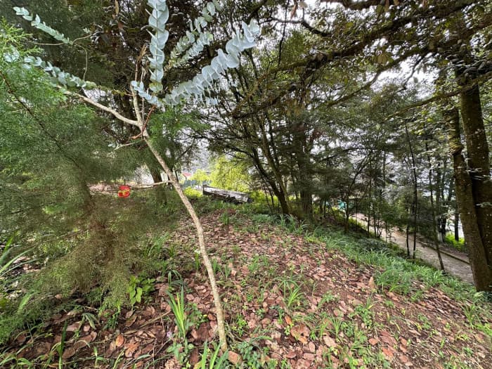 Terreno en Venta en Santa Lucia Milpas Altas  - foto 2