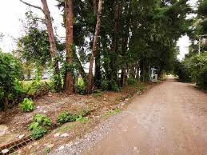 Terreno en Venta en Granja Buenos Aires - foto 2