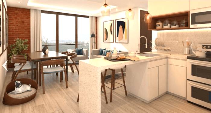 Apartamento en Venta en Zona 14 - foto 2