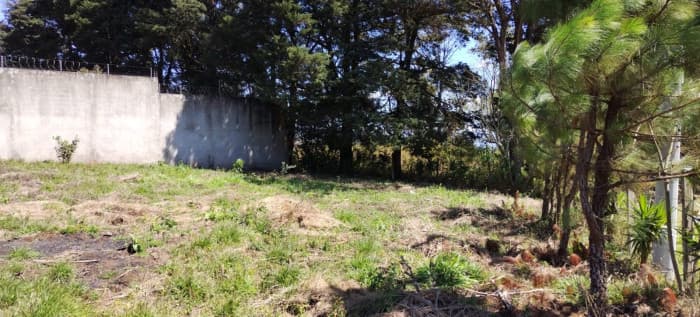 Terreno en Jardines de Versalles, Santa Elena Barillas - foto 2