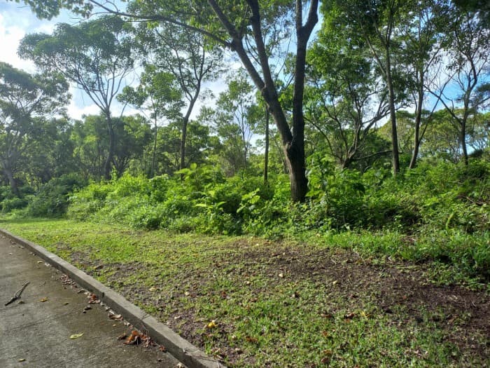 Terreno Residencial en Venta en Km 23.5 CES - foto 2