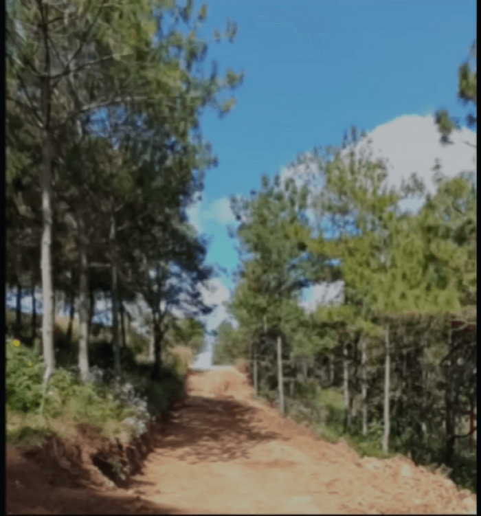 Terrenos para Vivienda en San Raymundo - foto 2
